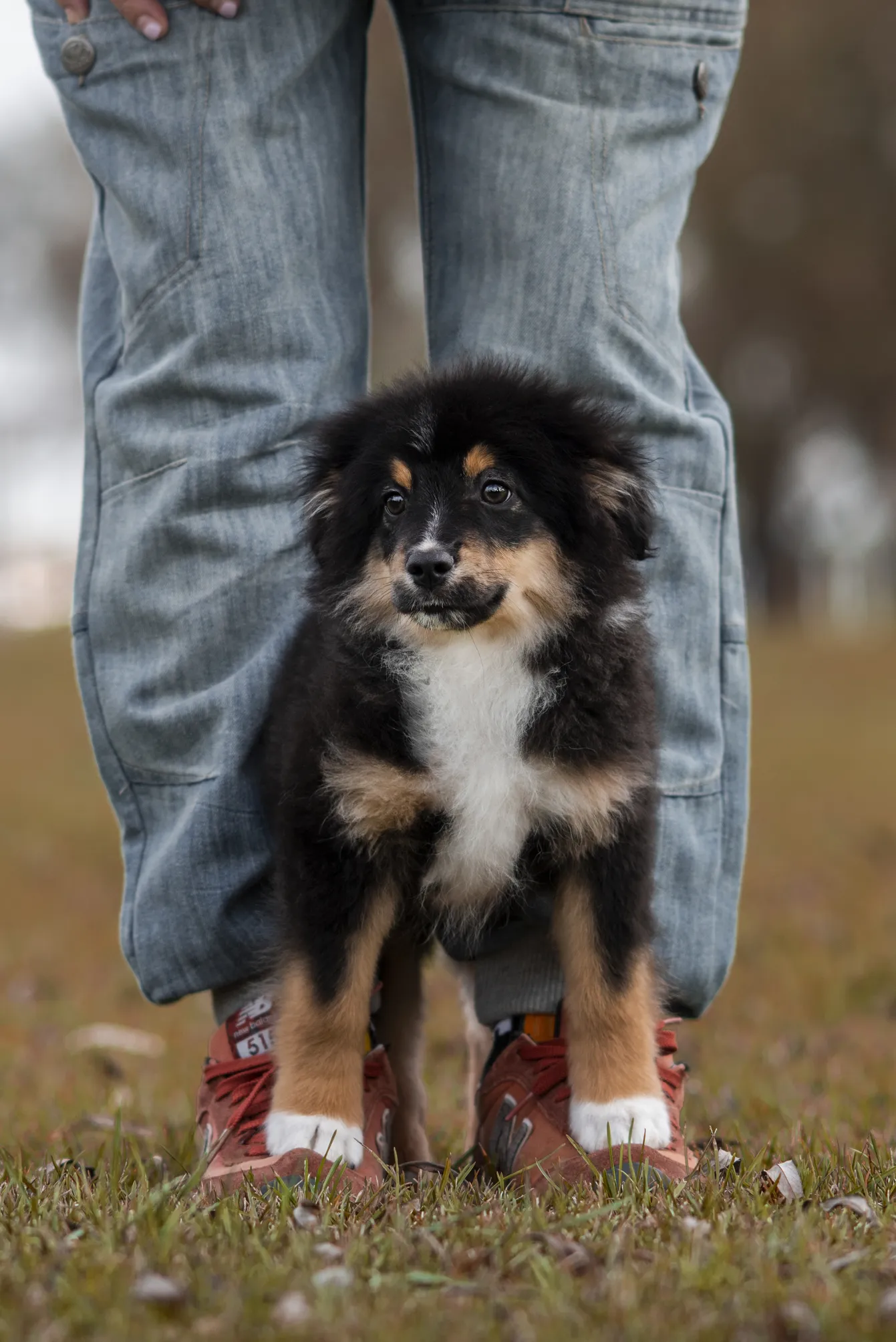 Фото 2